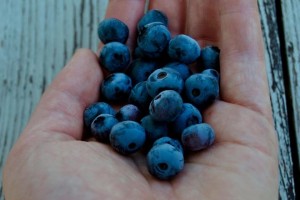 5 NAJBOLJIH LJETNIH NAMIRNICA: Borovnica na prvom mjestu, a onda...