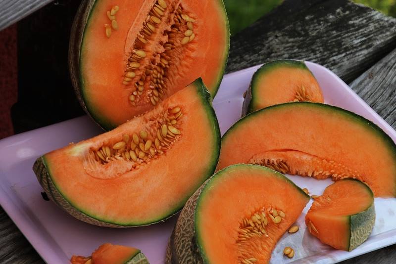 UKUSNO I ZDRAVO OSVJEŽENJE: Evo zašto trebate jesti dinju