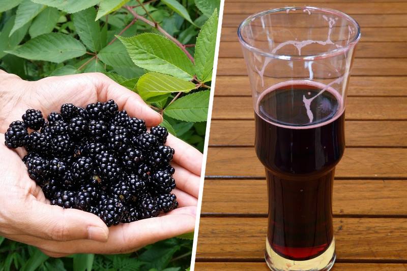 AKO VOLITE OKUS KUPINA: Ovako možete napraviti zdrav i ukusan sirup