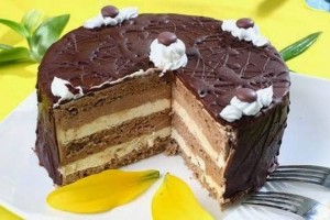 BOEM TORTA: Čokoladna torta s čarobnim okusom prženih lješnjaka