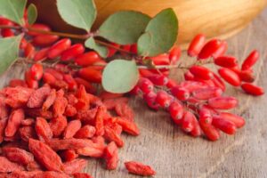 GOJI BOBICE: Plod s Himalaja koji liječe mnoge bolesti i produžava mladost!?