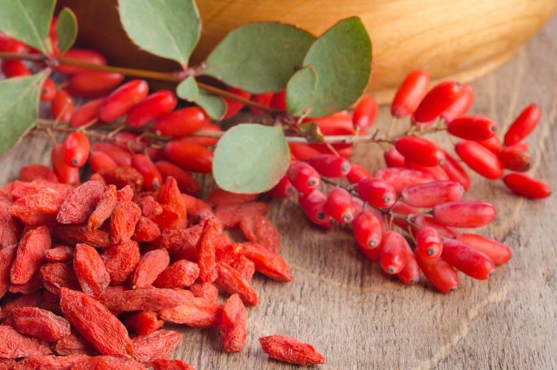 GOJI BOBICE: Plod s Himalaja koji liječe mnoge bolesti i produžava mladost!?