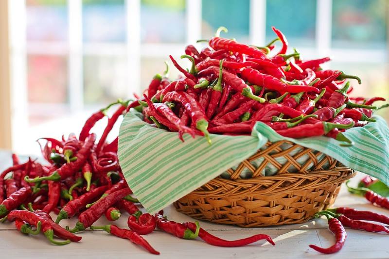 LJUTA PAPRIKA IMA ČUDESNU MOĆ: Među ljudima koji jedu ovo povrće stopa smrtnosti manja za 14 %!