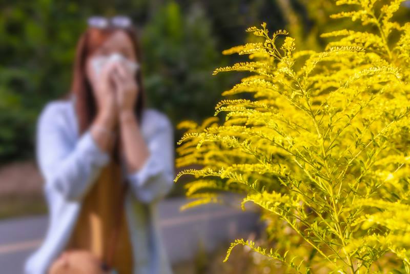 HRANOM PROTIV ALERGIJE: Doznajte šta je dobro jesti, a šta treba izbjegavati