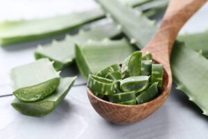 ZOVU JE KRALJICA LJEKOVITIH BILJAKA: Evo što sve liječi aloe vera