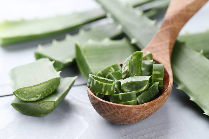 ZOVU JE KRALJICA LJEKOVITIH BILJAKA: Evo što sve liječi aloe vera