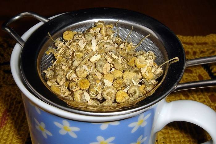 ČUDOTVORNA, A ZANEMARENA: Kad bi znali koji su učinci kamilice na zdravlje, pili bi je svaki dan!